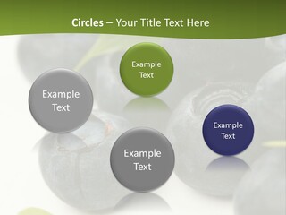 Lokhina PowerPoint Template