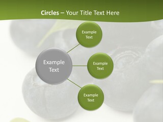 Lokhina PowerPoint Template