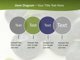 Lokhina PowerPoint Template