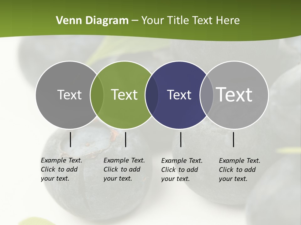 Lokhina PowerPoint Template