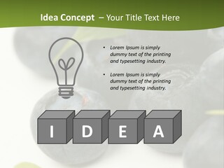 Lokhina PowerPoint Template