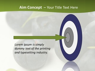 Lokhina PowerPoint Template