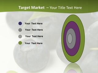 Lokhina PowerPoint Template