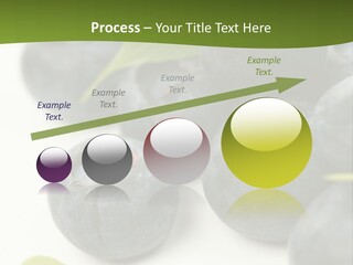 Lokhina PowerPoint Template