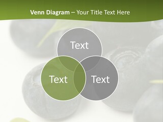 Lokhina PowerPoint Template