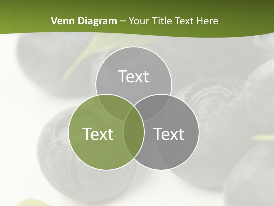 Lokhina PowerPoint Template