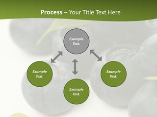 Lokhina PowerPoint Template