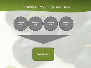 Lokhina PowerPoint Template