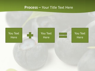 Lokhina PowerPoint Template