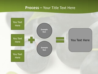 Lokhina PowerPoint Template
