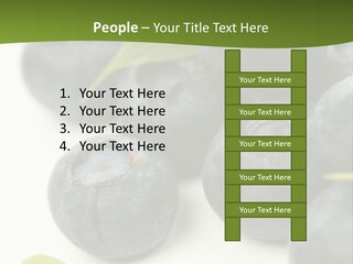 Lokhina PowerPoint Template
