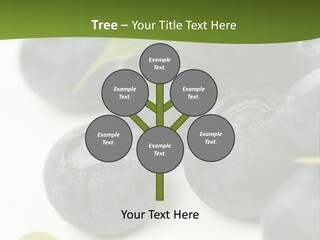 Lokhina PowerPoint Template