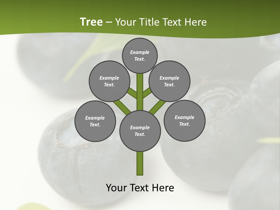 Lokhina PowerPoint Template
