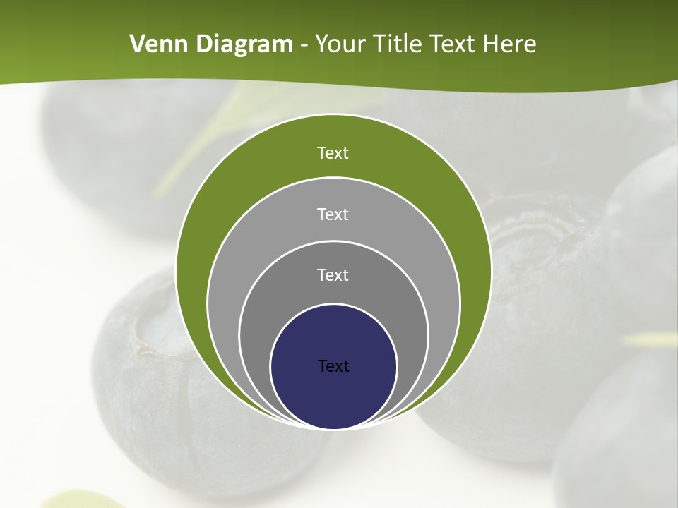 Lokhina PowerPoint Template