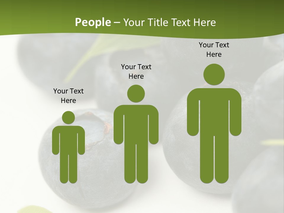 Lokhina PowerPoint Template
