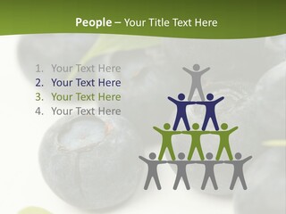 Lokhina PowerPoint Template