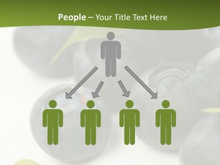 Lokhina PowerPoint Template