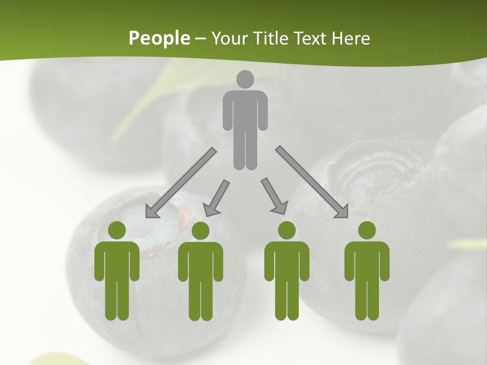 Lokhina PowerPoint Template