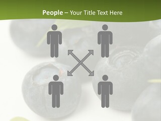 Lokhina PowerPoint Template