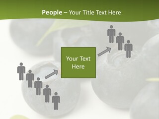 Lokhina PowerPoint Template