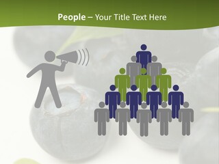 Lokhina PowerPoint Template