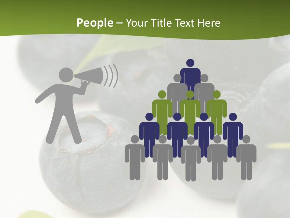 Lokhina PowerPoint Template