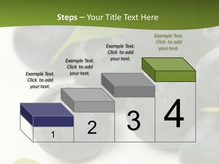Lokhina PowerPoint Template