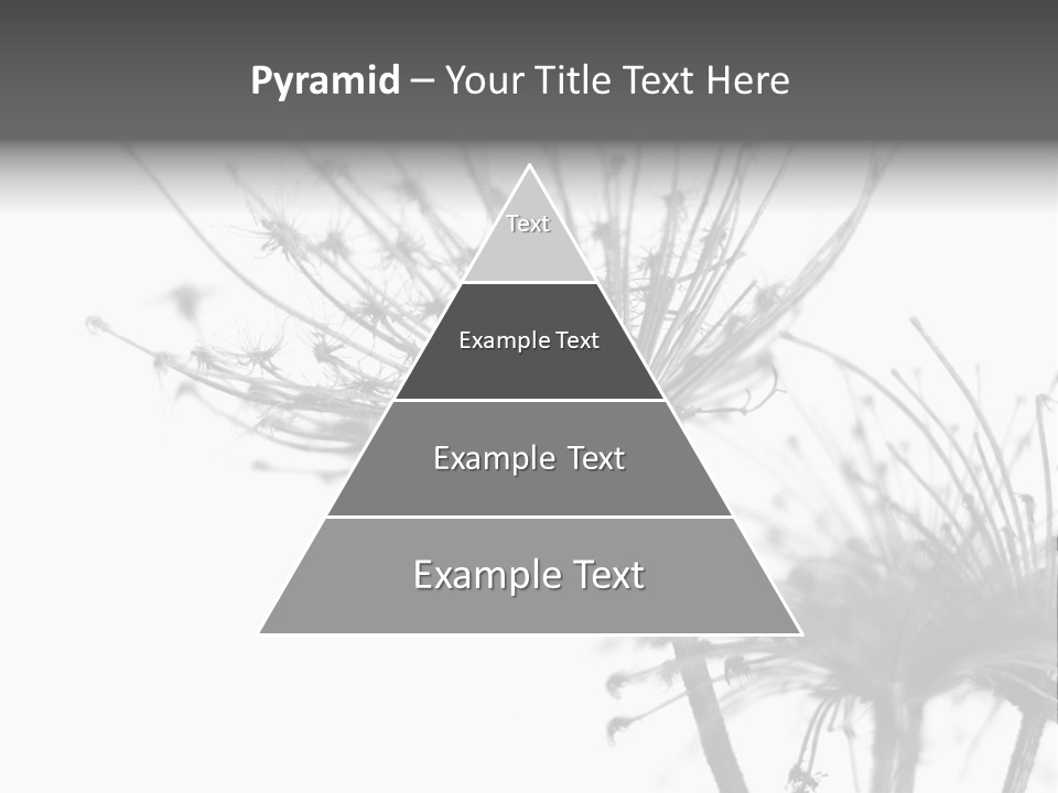 Plant PowerPoint Template