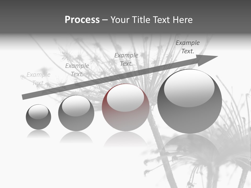 Plant PowerPoint Template