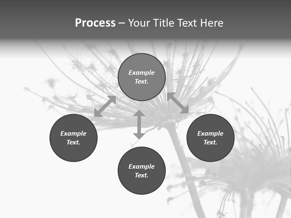 Plant PowerPoint Template