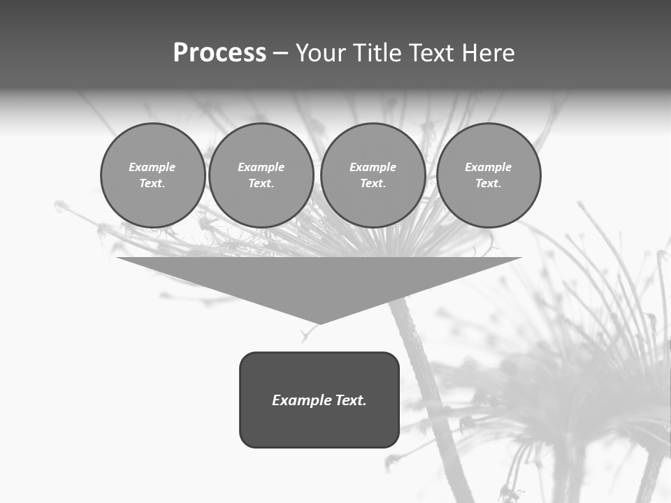 Plant PowerPoint Template