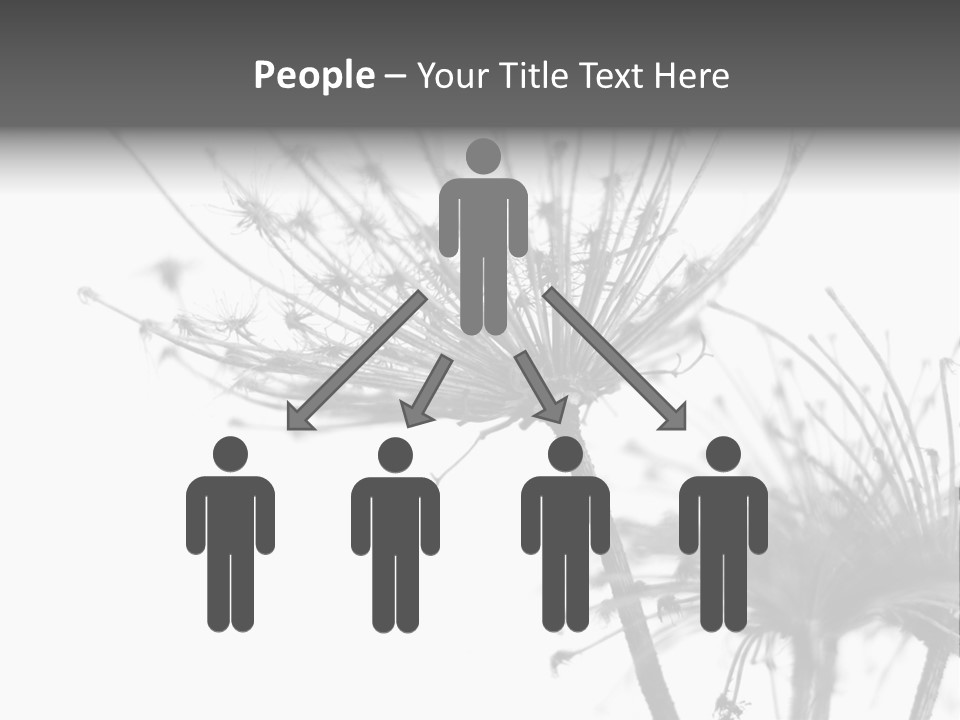 Plant PowerPoint Template