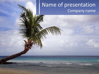 Palm Tree By The Sea PowerPoint Template