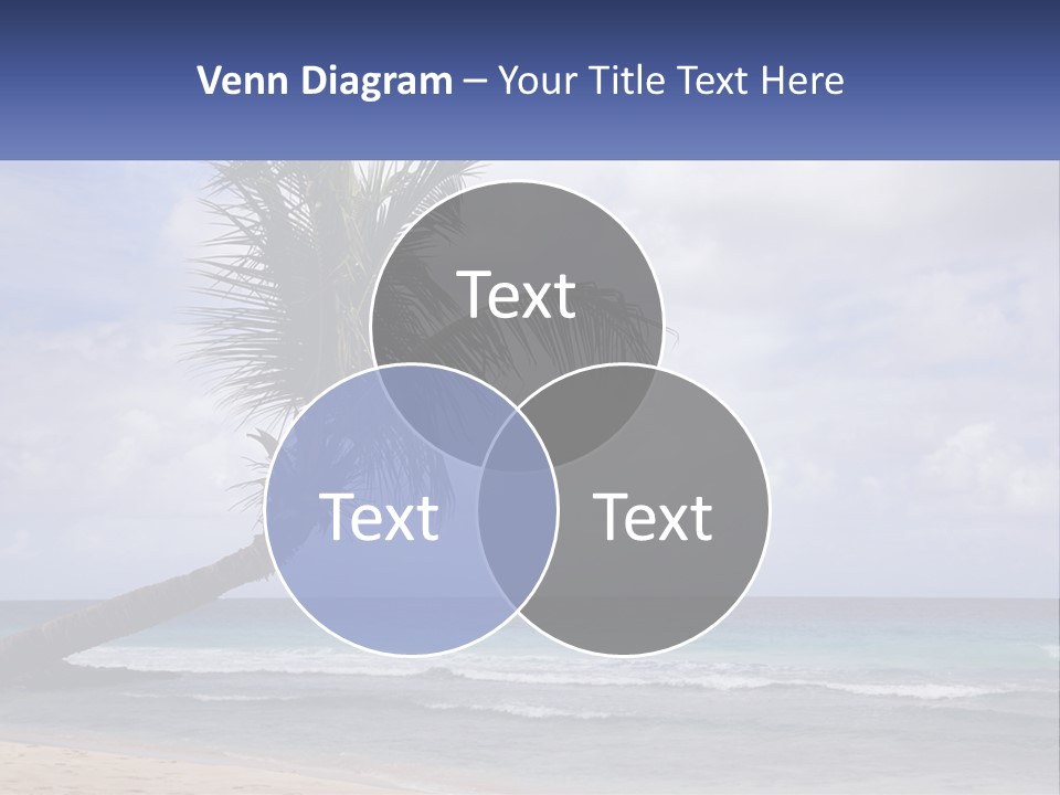 Palm Tree By The Sea PowerPoint Template