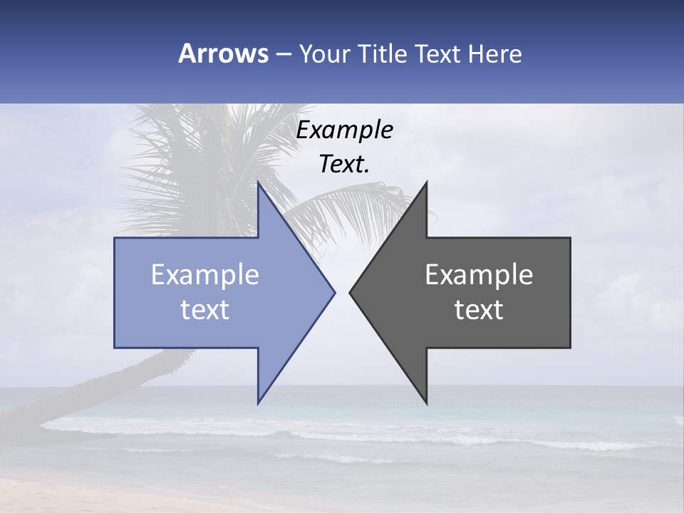 Palm Tree By The Sea PowerPoint Template