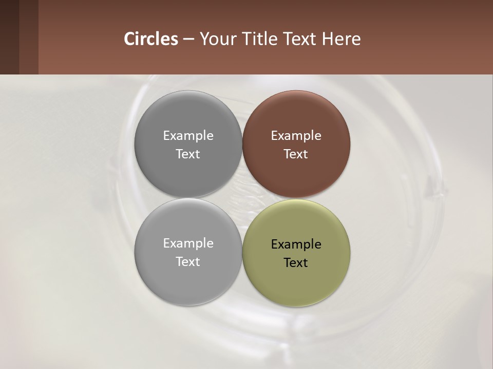 Petri Dish PowerPoint Template