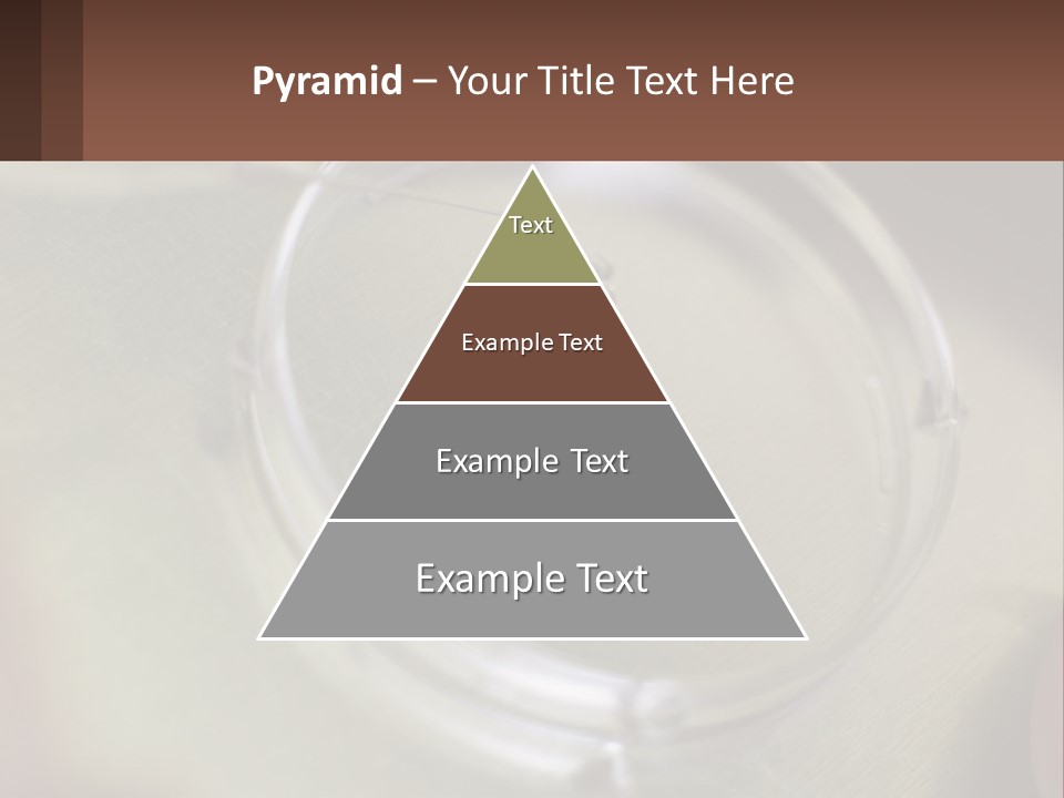 Petri Dish PowerPoint Template