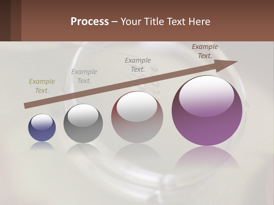 Petri Dish PowerPoint Template