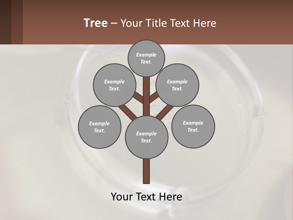 Petri Dish PowerPoint Template