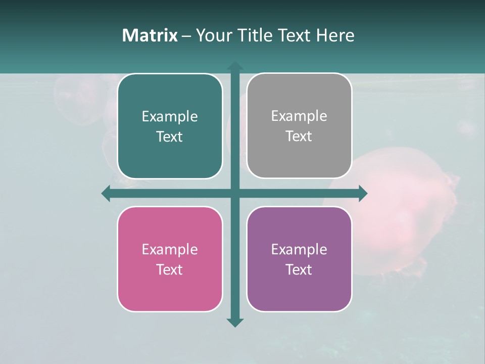 Jellyfish PowerPoint Template