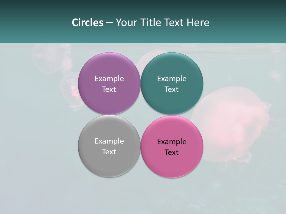 Jellyfish PowerPoint Template