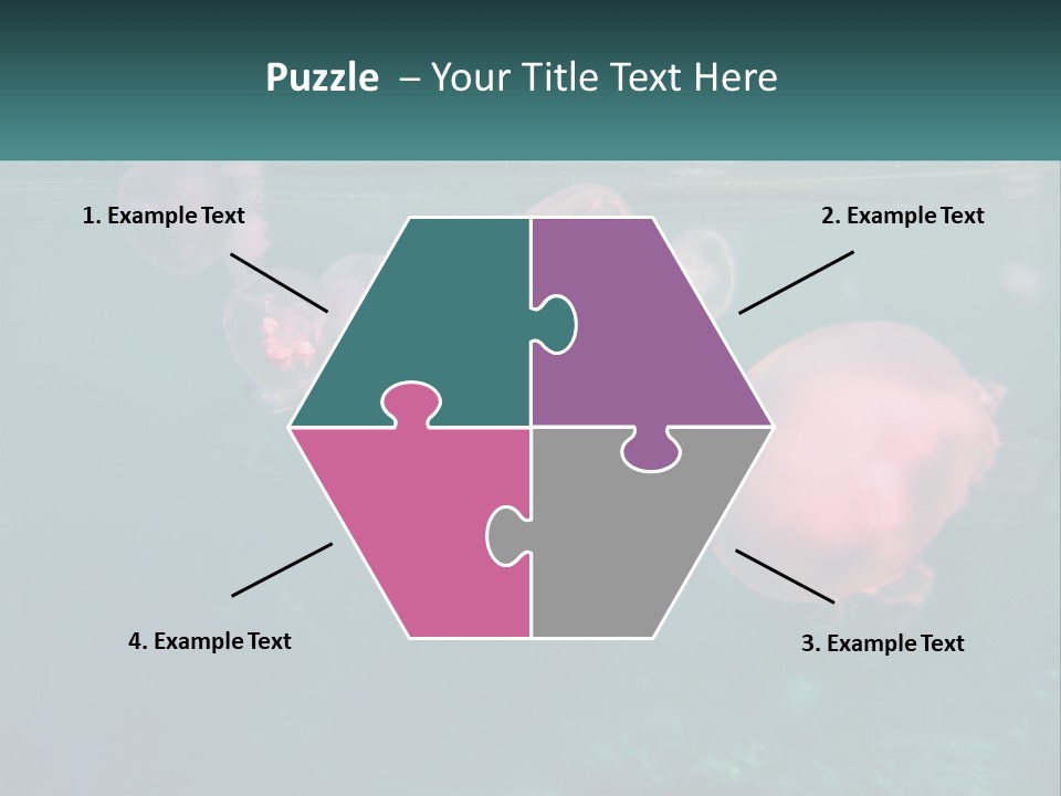 Jellyfish PowerPoint Template