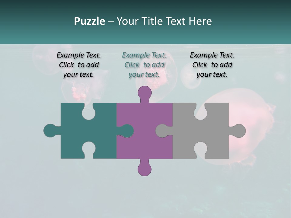 Jellyfish PowerPoint Template