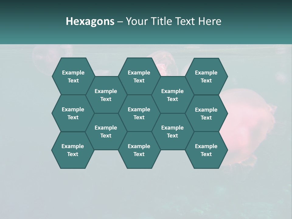 Jellyfish PowerPoint Template