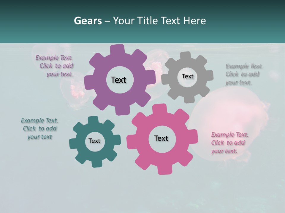 Jellyfish PowerPoint Template