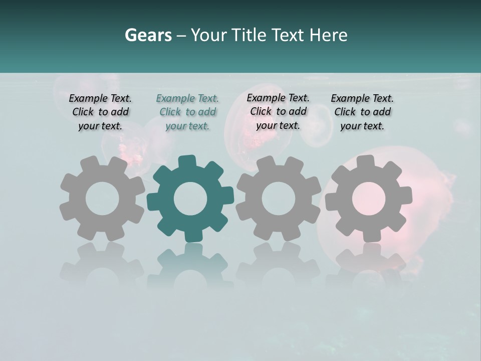 Jellyfish PowerPoint Template