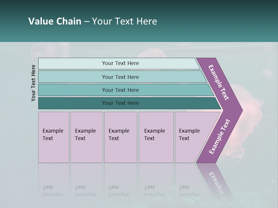Jellyfish PowerPoint Template