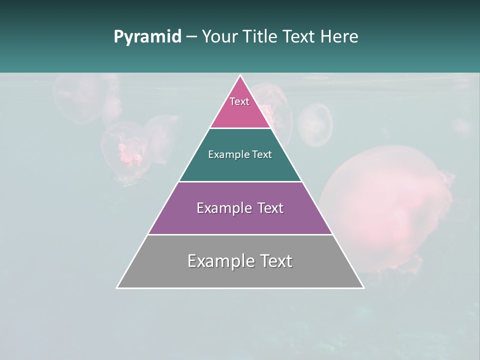 Jellyfish PowerPoint Template