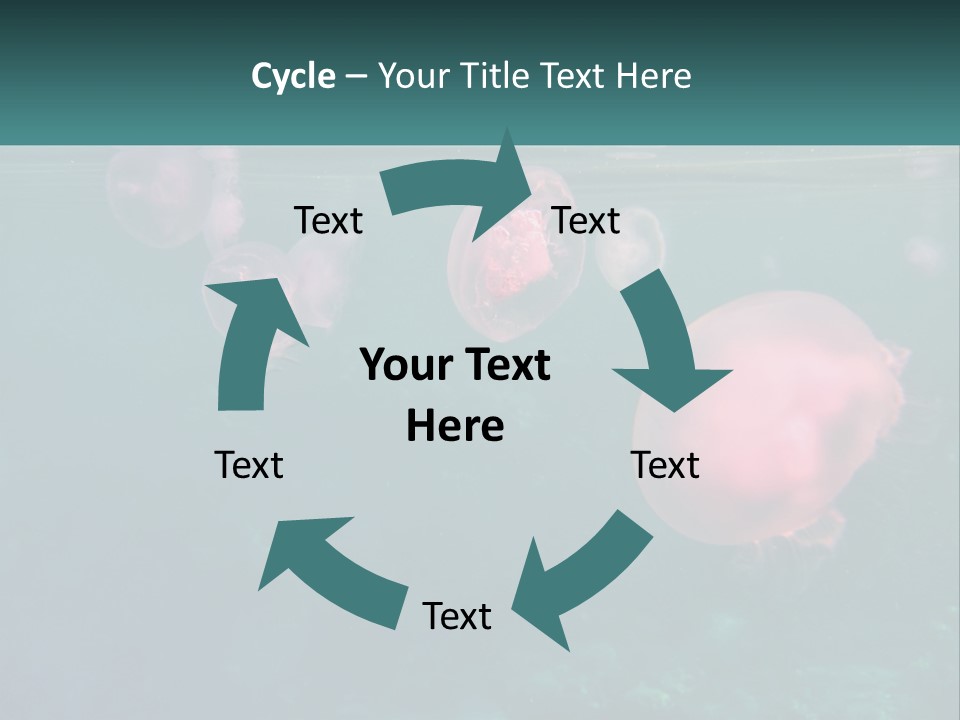 Jellyfish PowerPoint Template