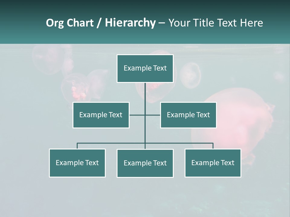 Jellyfish PowerPoint Template